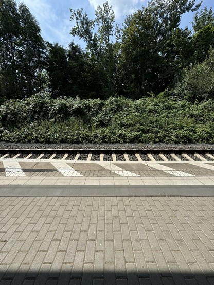 Empty train station platform with railway tracks in the foreground and dense green foliage in the background.
